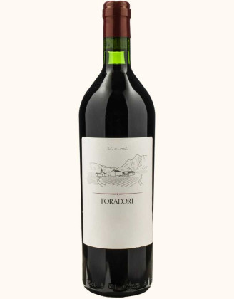 Foradori Teroldego Dolomiti TInto