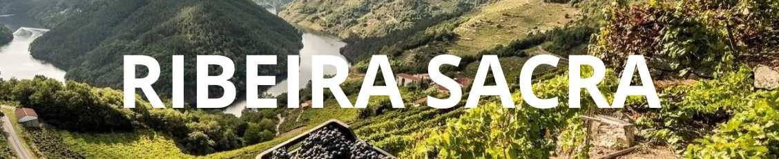 D.O. Vinos Ribeira Sacra | Mercado Paladar Gourmet