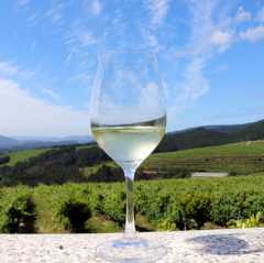D.O. Rías Baixas